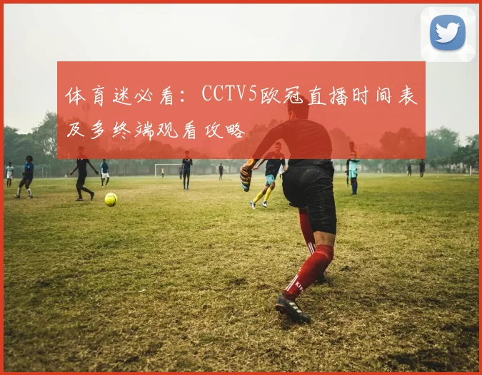 体育迷必看：CCTV5欧冠直播时间表及多终端观看攻略