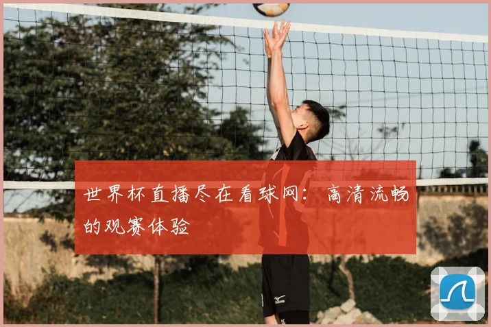 世界杯直播尽在看球网：高清流畅的观赛体验