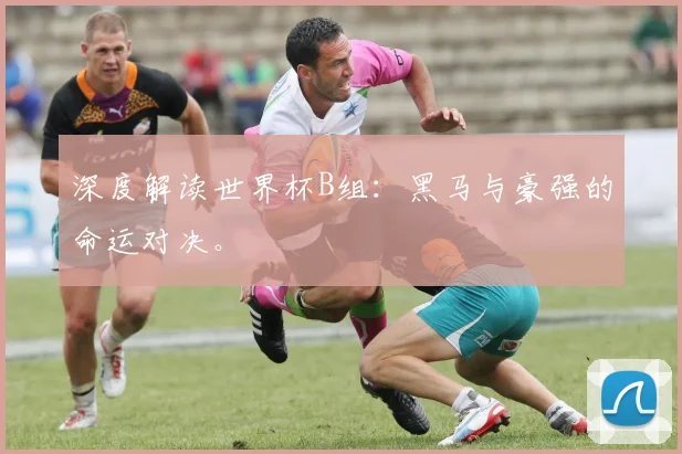 深度解读世界杯B组：黑马与豪强的命运对决。