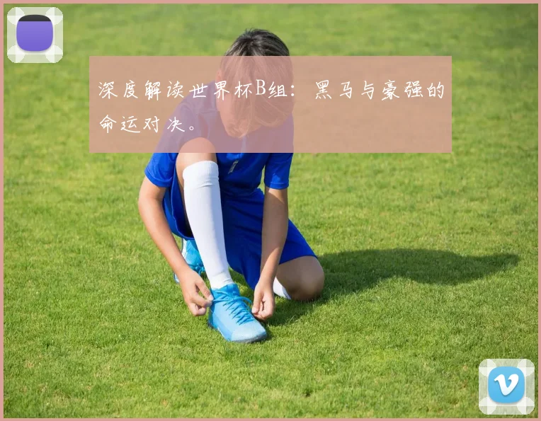 深度解读世界杯B组：黑马与豪强的命运对决。