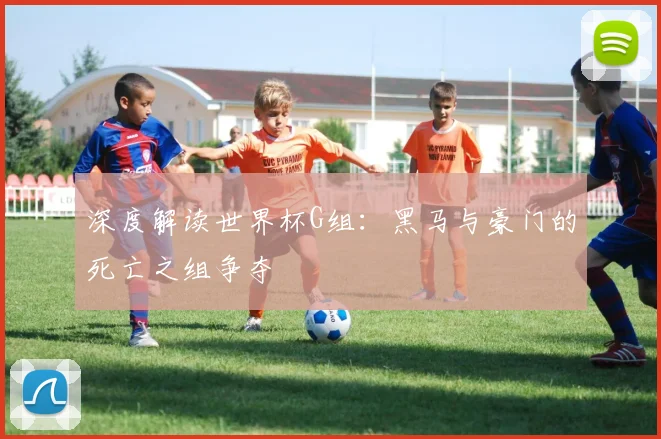 深度解读世界杯G组：黑马与豪门的死亡之组争夺