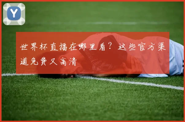 世界杯直播在哪里看？这些官方渠道免费又高清
