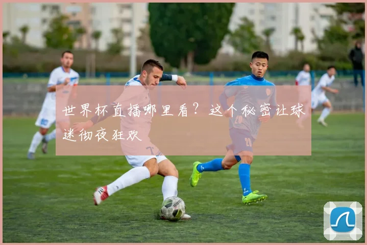 世界杯直播哪里看？这个秘密让球迷彻夜狂欢