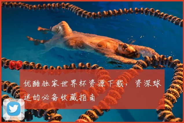 优酷独家世界杯资源下载，资深球迷的必备收藏指南